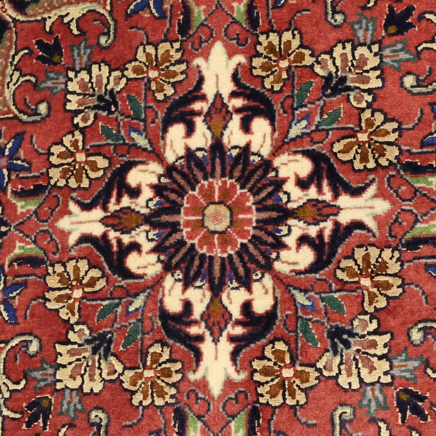 Persisk tæppe - Bijar - Royal - 148 x 91 cm - rust