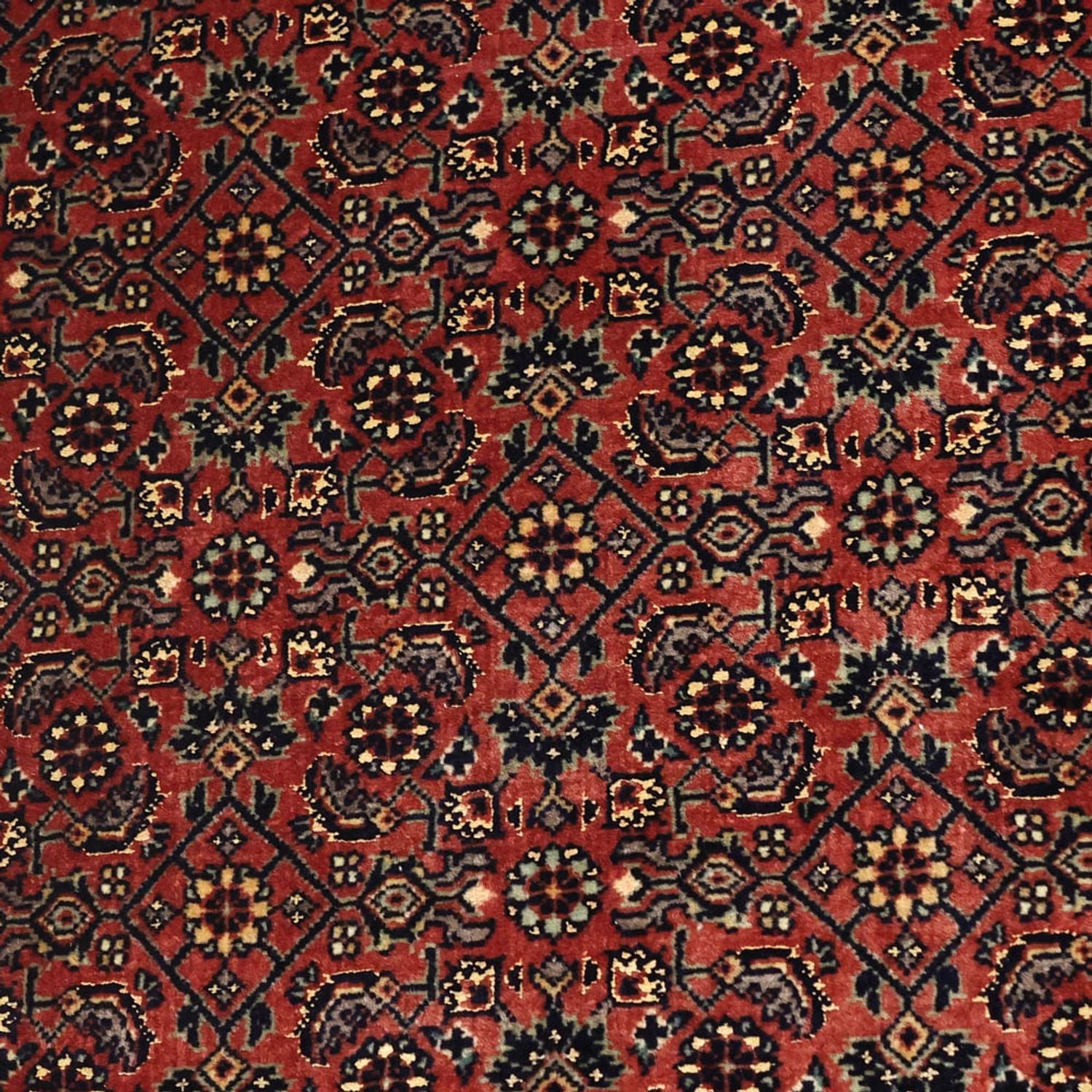 Persisk tæppe - Bijar - Royal - 148 x 89 cm - rust
