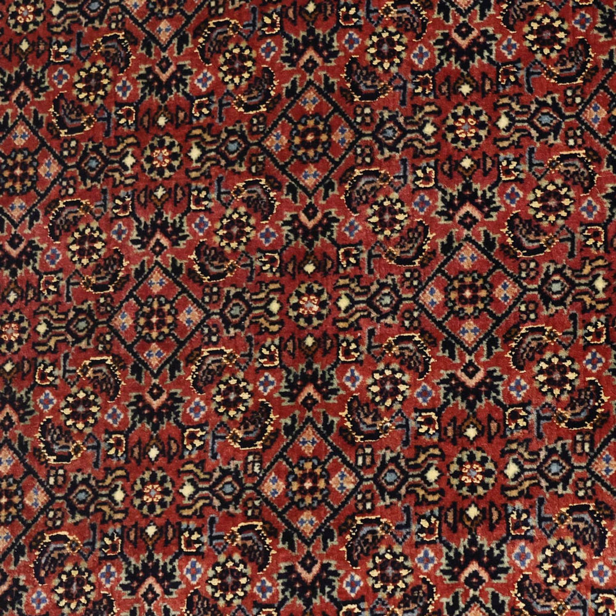 Persisk tæppe - Bijar - Royal - 148 x 91 cm - mørk beige