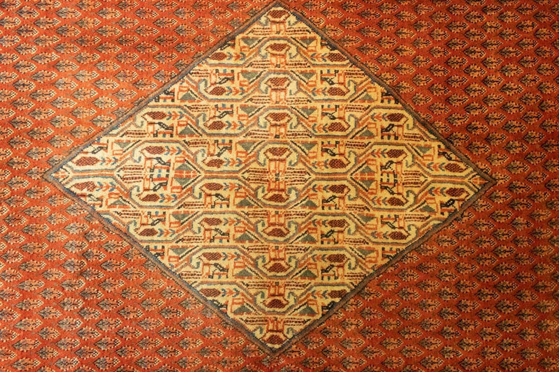 Persisk tæppe - Mir - 300 x 206 cm - orange