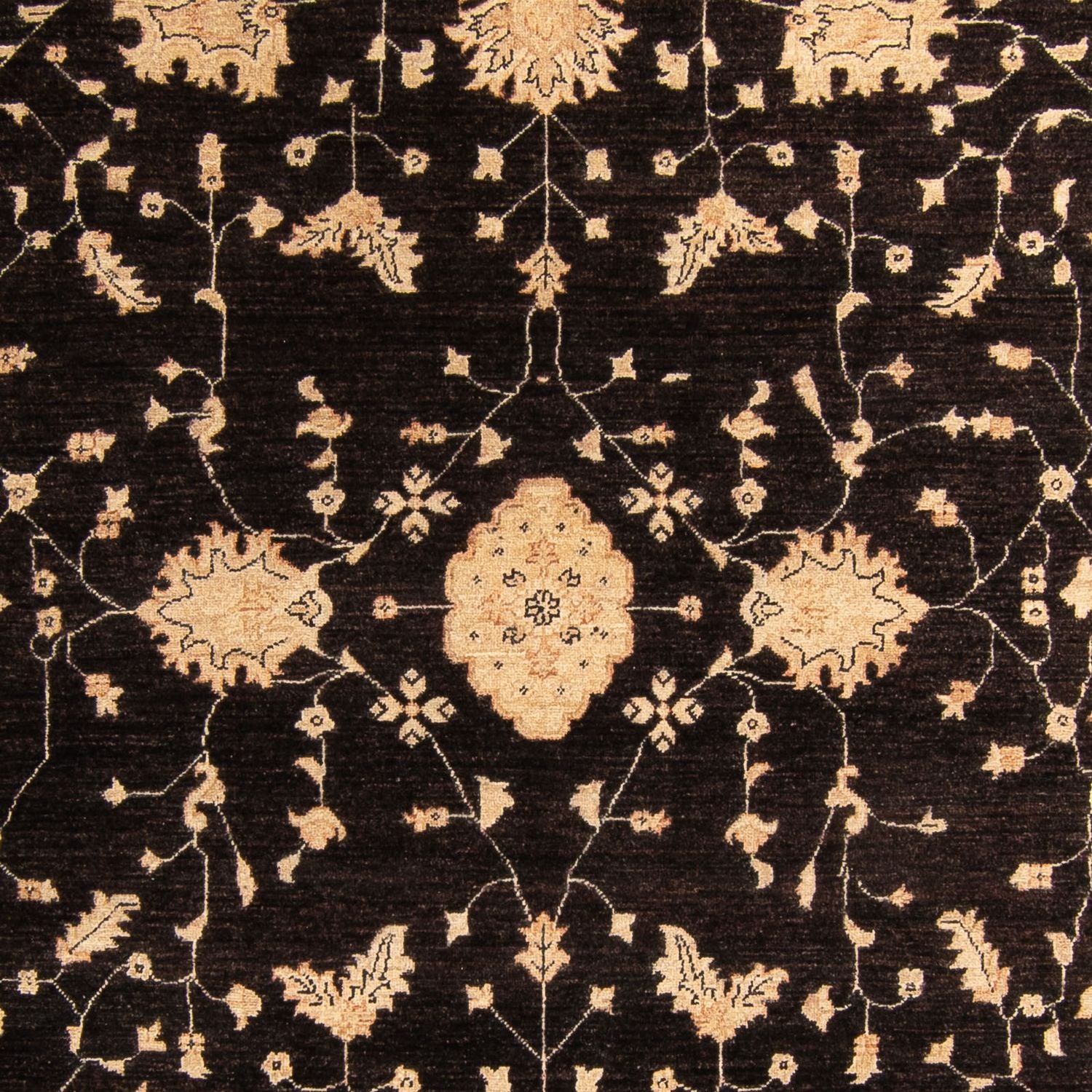 Ziegler Carpet - 296 x 209 cm - mørkebrun