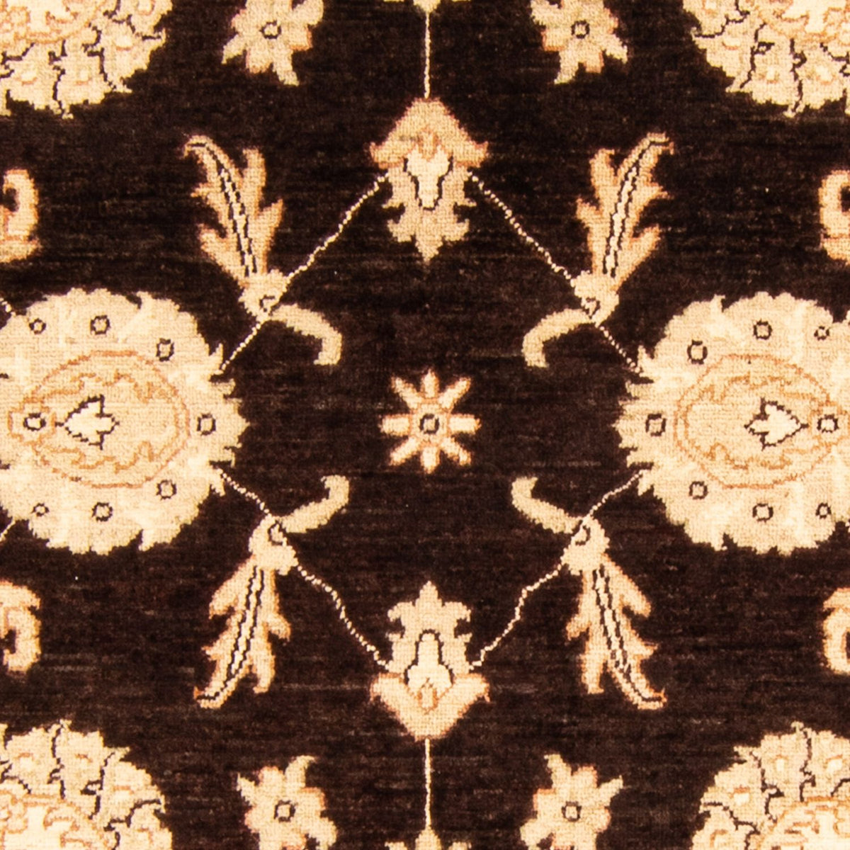 Ziegler Carpet - 200 x 123 cm - mørkebrun