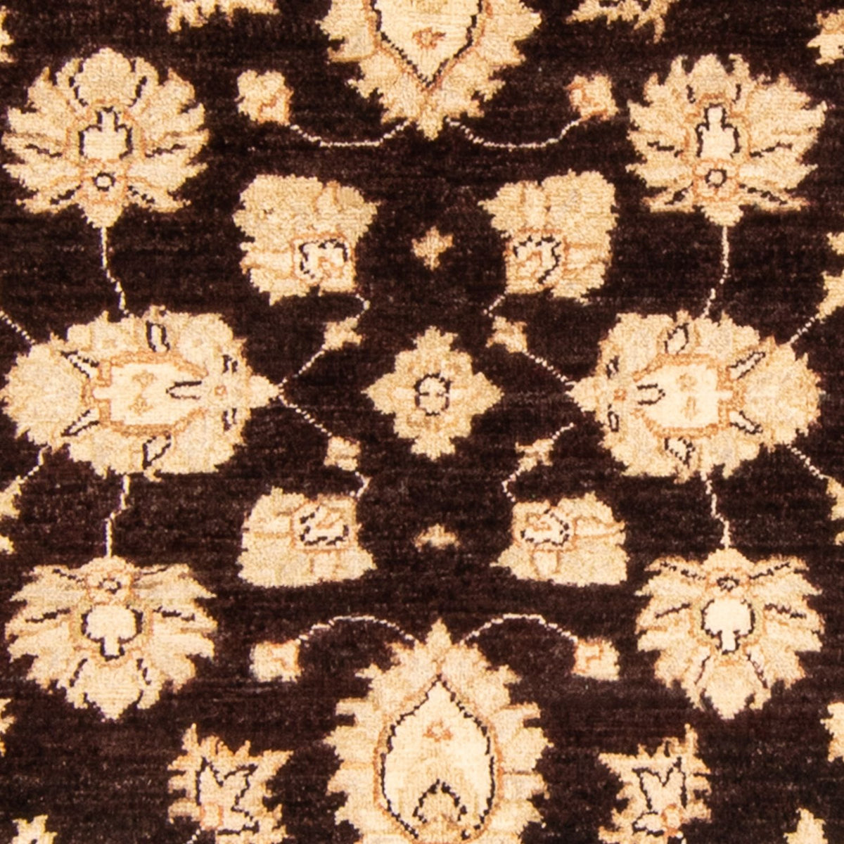 Ziegler Carpet - 166 x 118 cm - mørkebrun