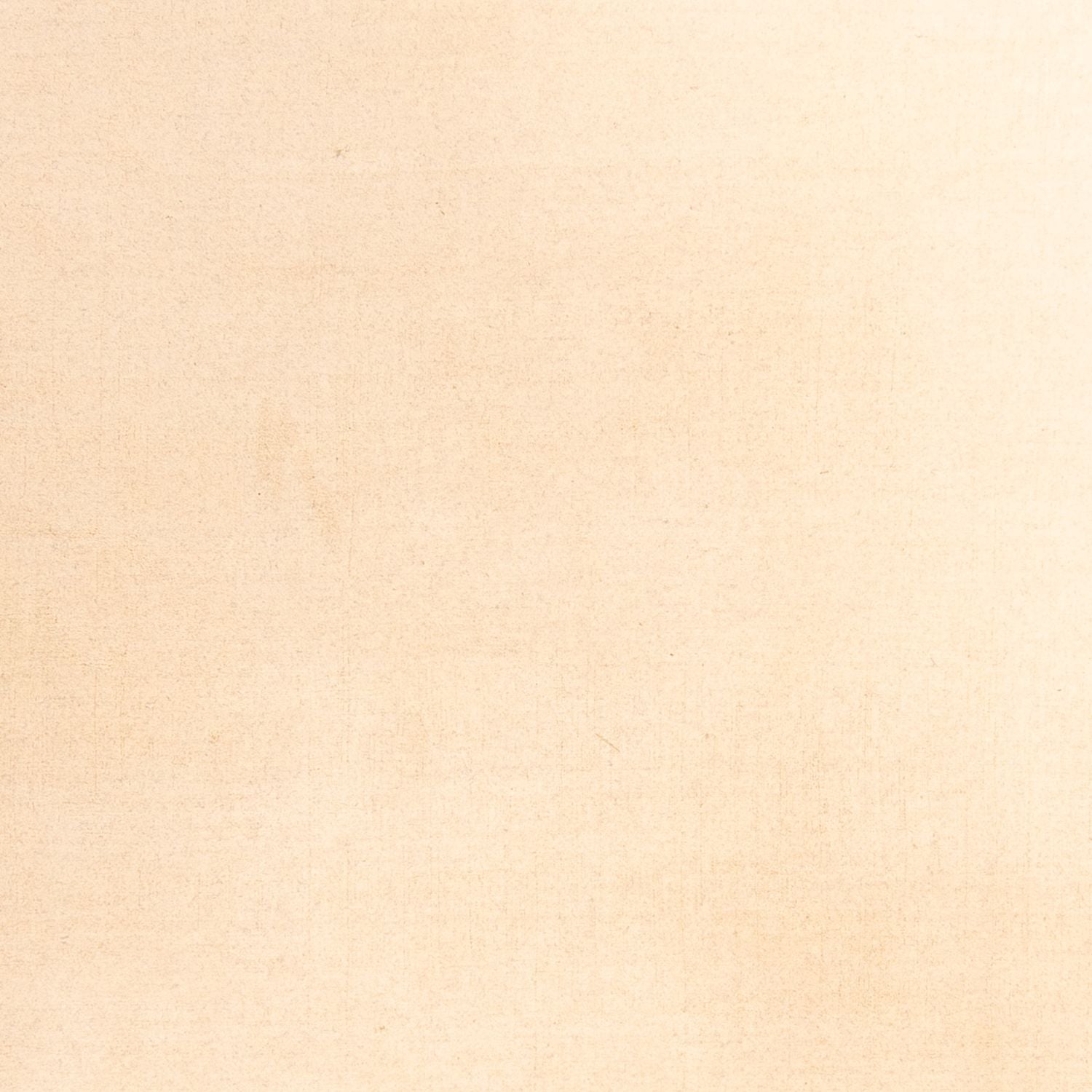 Gabbeh-tæppe - Softy - 288 x 205 cm - beige