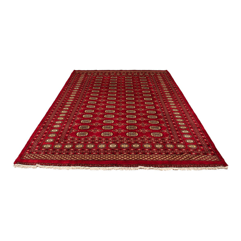 Pakistan Tæppe - 307 x 208 cm - mørkerød