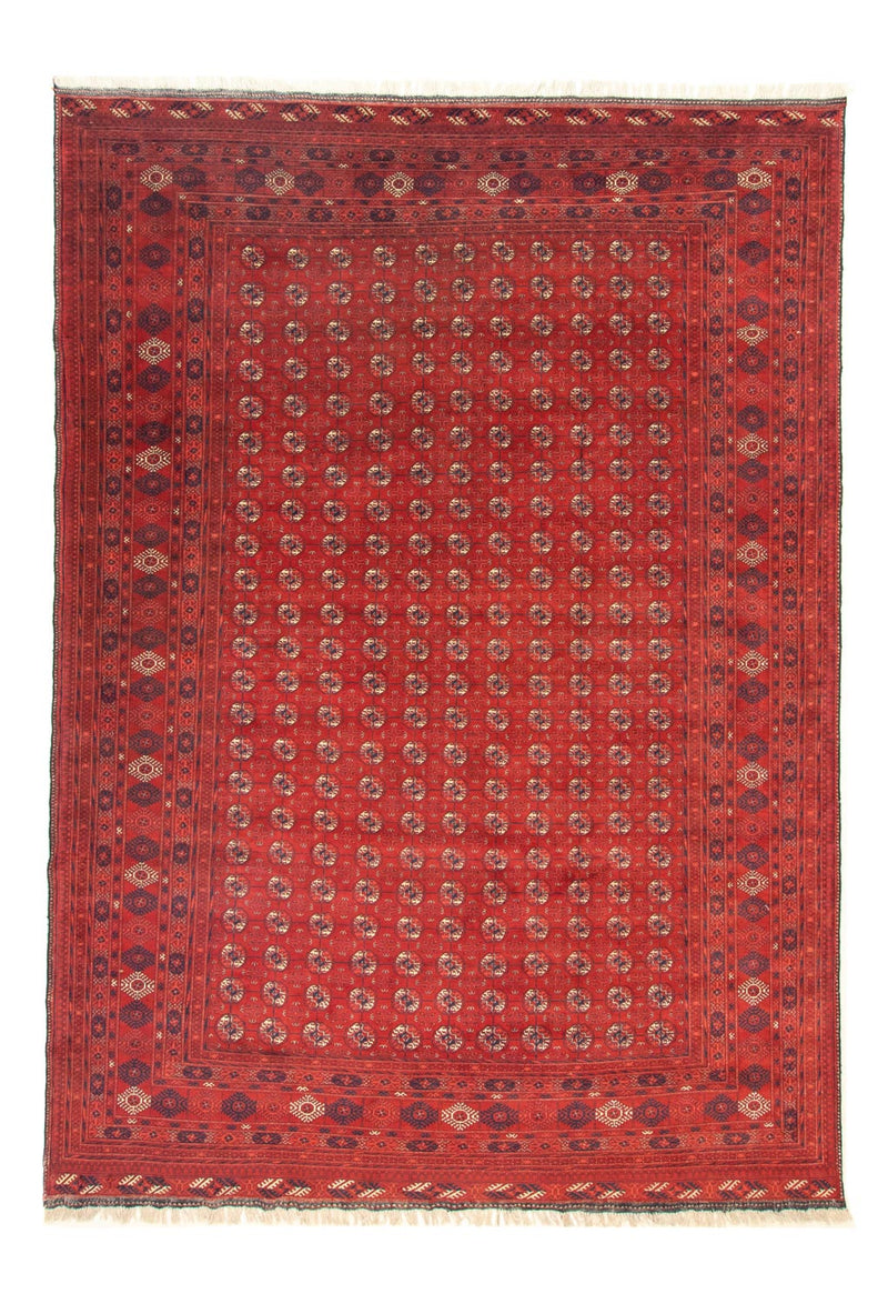 Afghansk tæppe - Bukhara - 342 x 243 cm - mørkerød