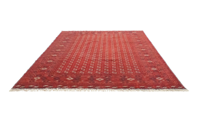 Afghansk tæppe - Bukhara - 342 x 243 cm - mørkerød