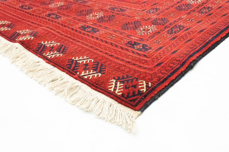 Afghansk tæppe - Bukhara - 288 x 202 cm - mørkerød