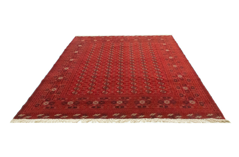 Afghansk tæppe - Bukhara - 288 x 202 cm - mørkerød