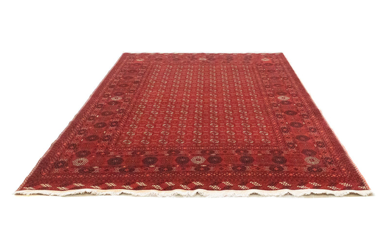 Afghansk tæppe - Bukhara - 295 x 199 cm - mørkerød