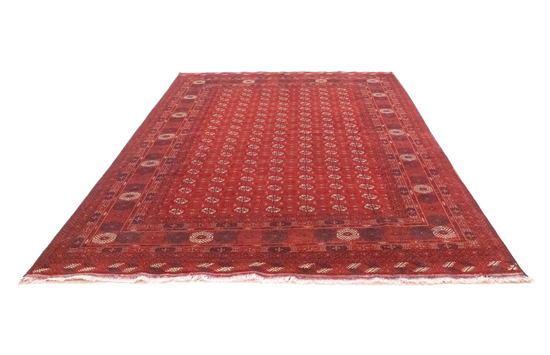 Afghansk tæppe - Bukhara - 297 x 198 cm - mørkerød