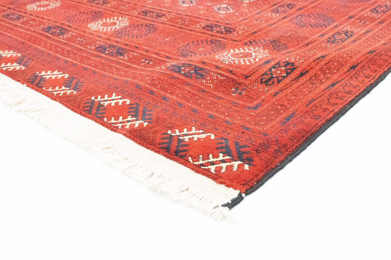 Afghansk tæppe - Bukhara - 293 x 196 cm - rød