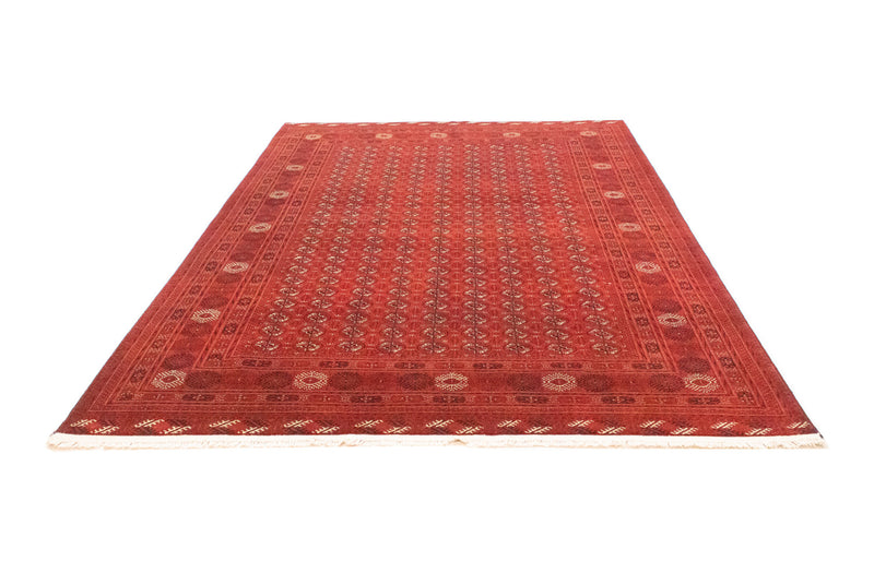 Afghansk tæppe - Bukhara - 293 x 196 cm - rød