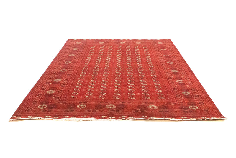 Afghansk tæppe - Bukhara - 293 x 203 cm - rød