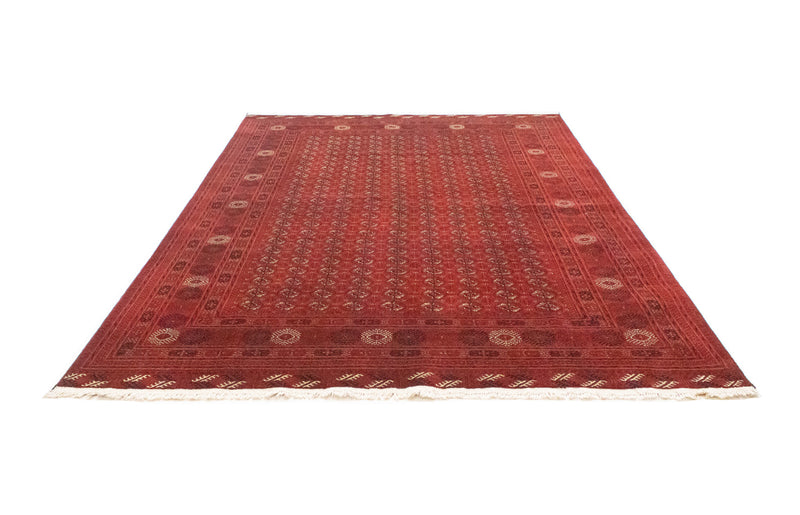 Afghansk tæppe - Bukhara - 295 x 192 cm - mørkebrun
