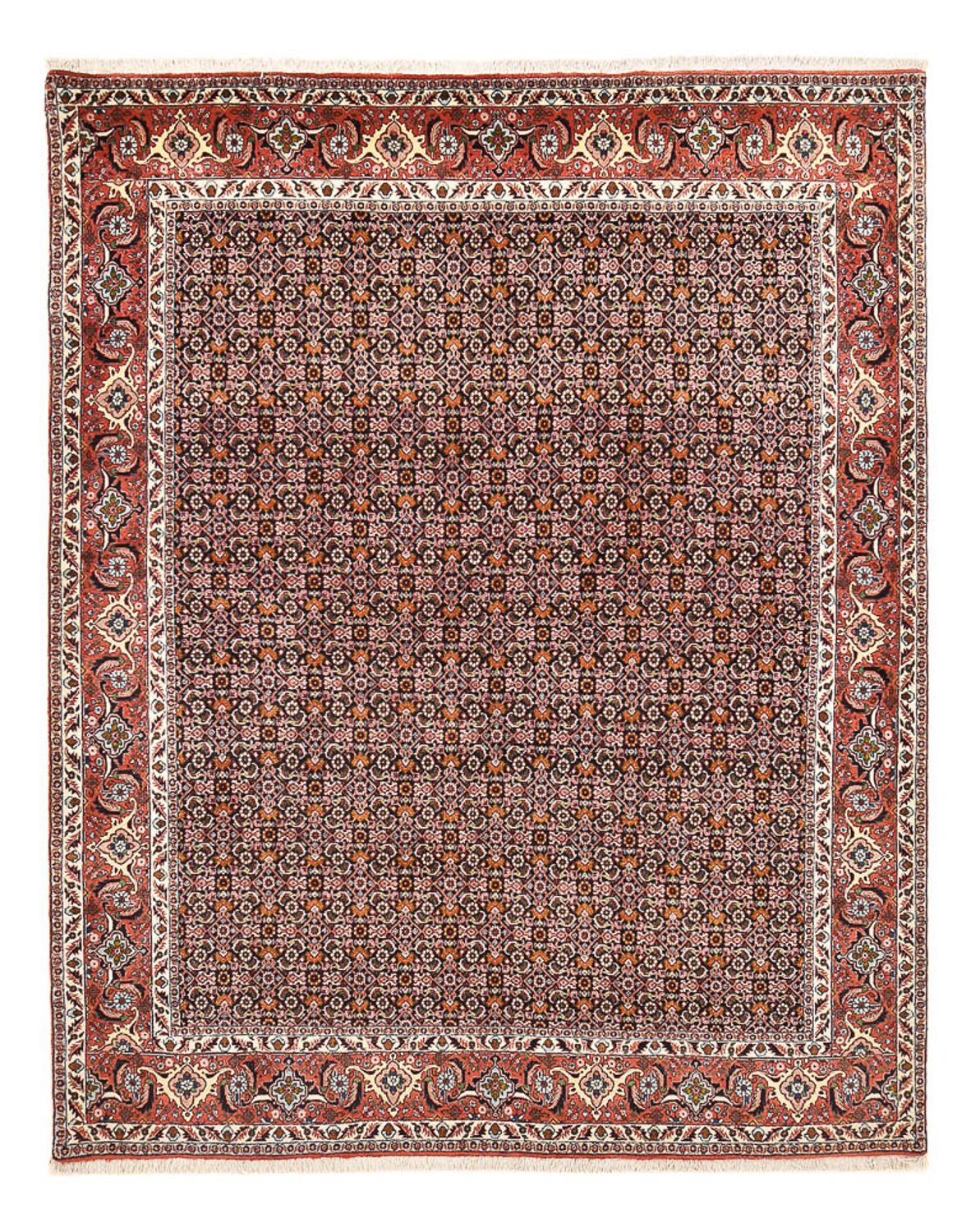 Persisk tæppe - Bijar - 264 x 204 cm - rust
