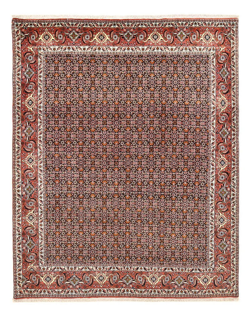 Persisk tæppe - Bijar - 264 x 204 cm - rust