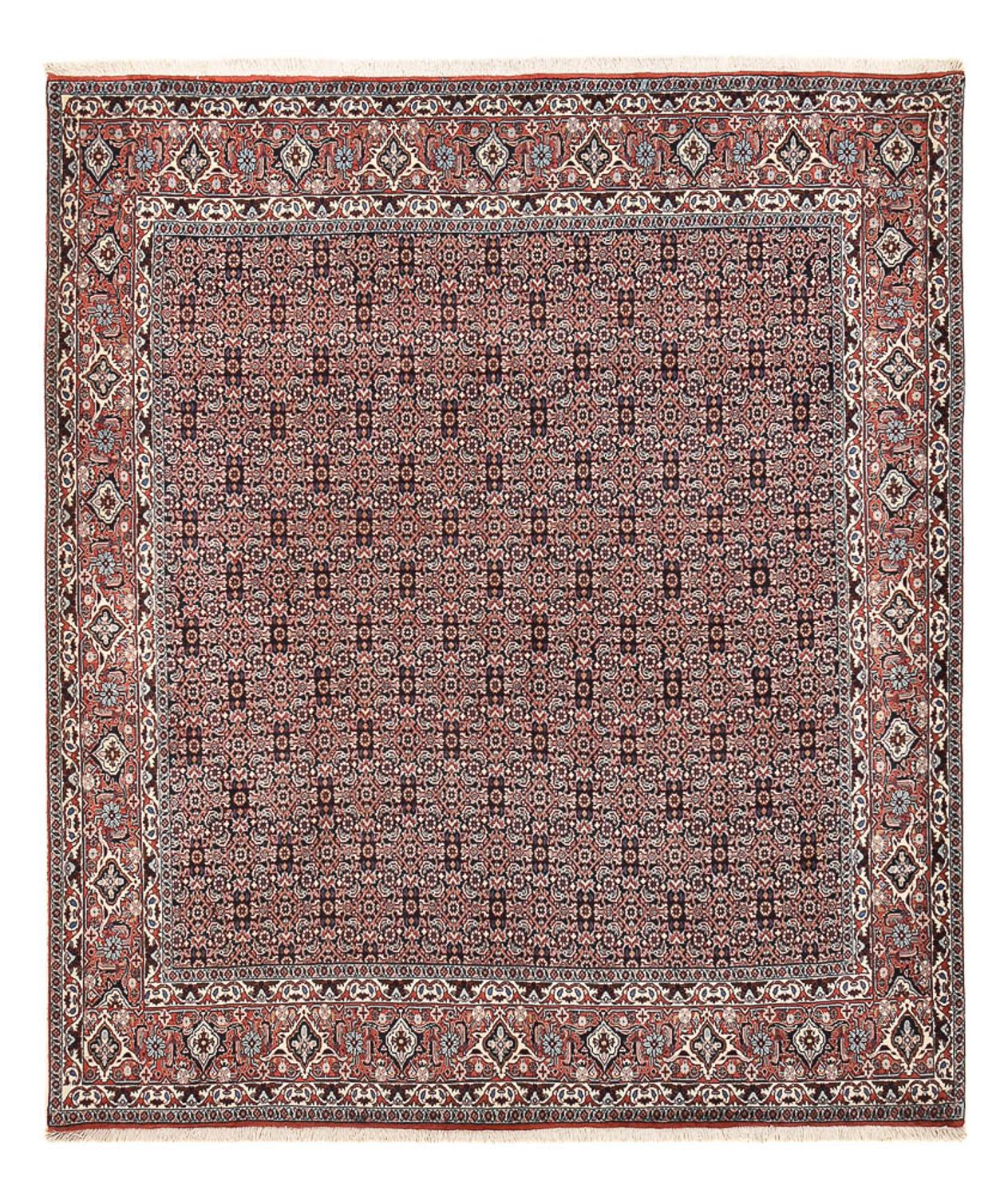 Persisk tæppe - Bijar - 243 x 206 cm - rust