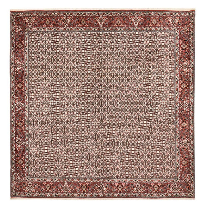 Persisk tæppe - Bijar firkantet  - 306 x 304 cm - rust