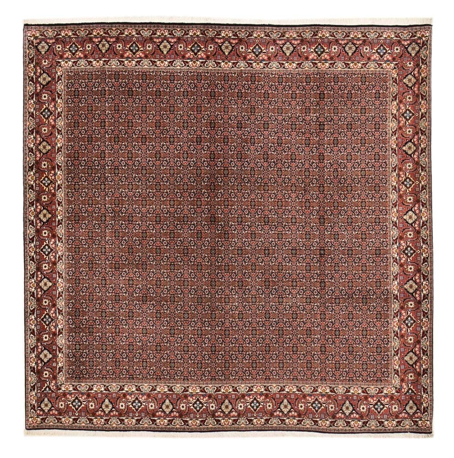 Persisk tæppe - Bijar firkantet  - 303 x 293 cm - rust