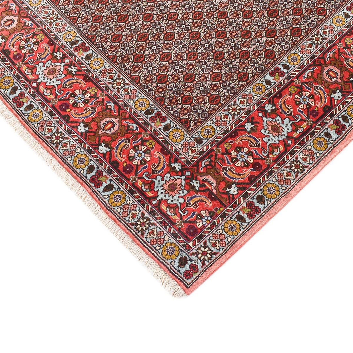 Persisk tæppe - Classic - 346 x 250 cm - brun