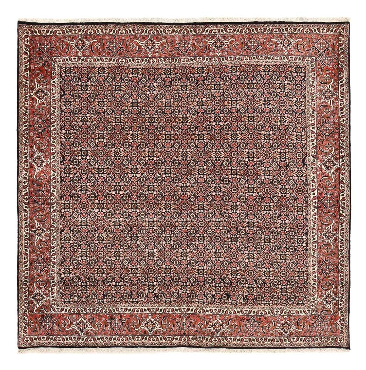 Persisk tæppe - Bijar firkantet  - 205 x 205 cm - rust