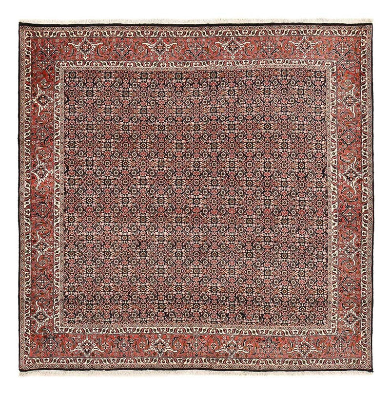 Persisk tæppe - Bijar firkantet  - 205 x 205 cm - rust