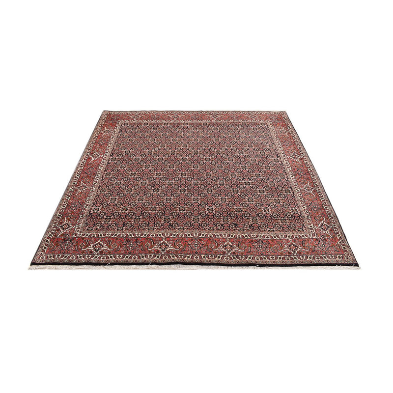 Persisk tæppe - Bijar firkantet  - 205 x 205 cm - rust