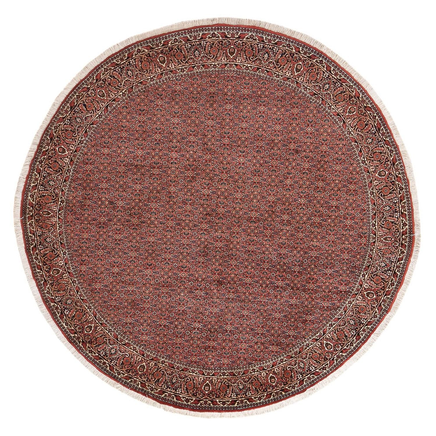 Persisk tæppe - Bijar rundt  - 255 x 255 cm - rust