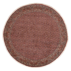 Persisk tæppe - Bijar rundt  - 255 x 255 cm - rust