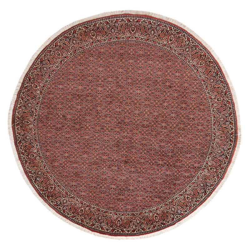 Persisk tæppe - Bijar rundt  - 255 x 255 cm - rust