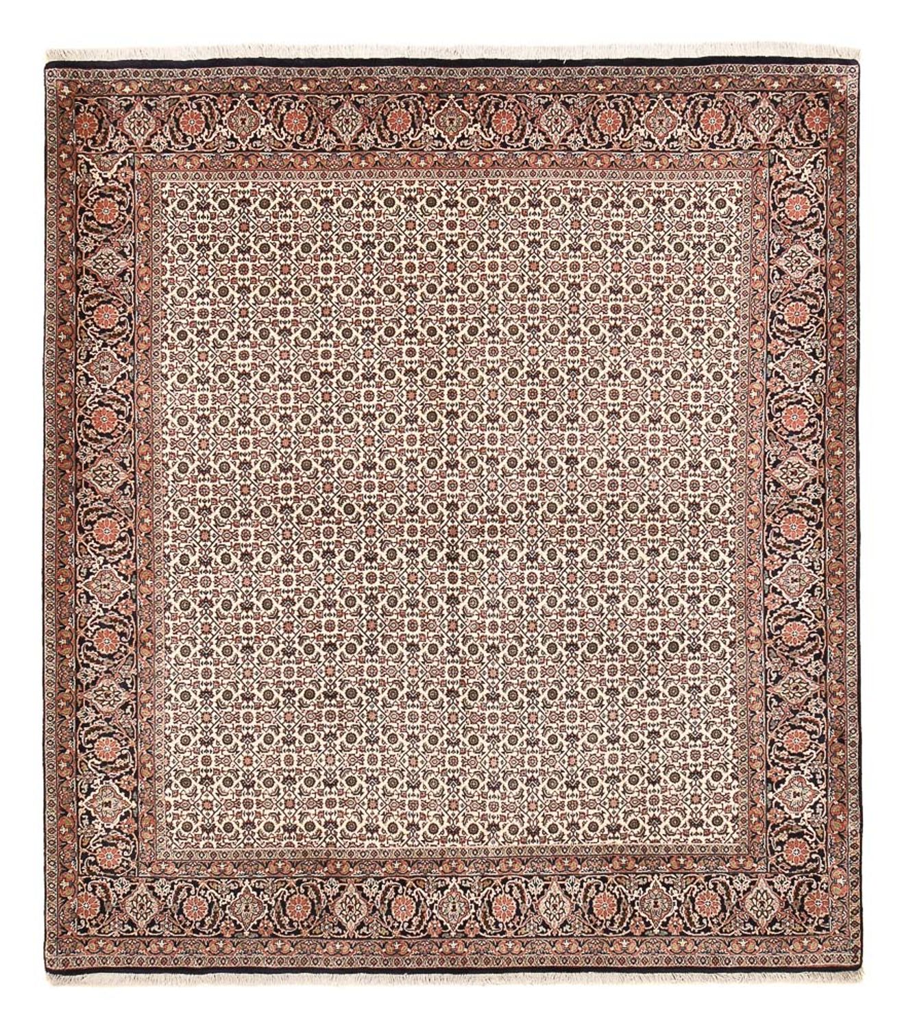 Persisk tæppe - Bijar - 243 x 210 cm - lys brun