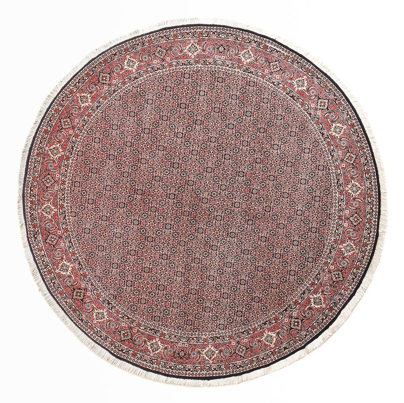 Persisk tæppe - Bijar rundt  - 255 x 255 cm - rust