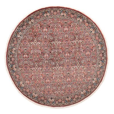 Bidjar Tæppe 250x250cm - Persisk tæppe