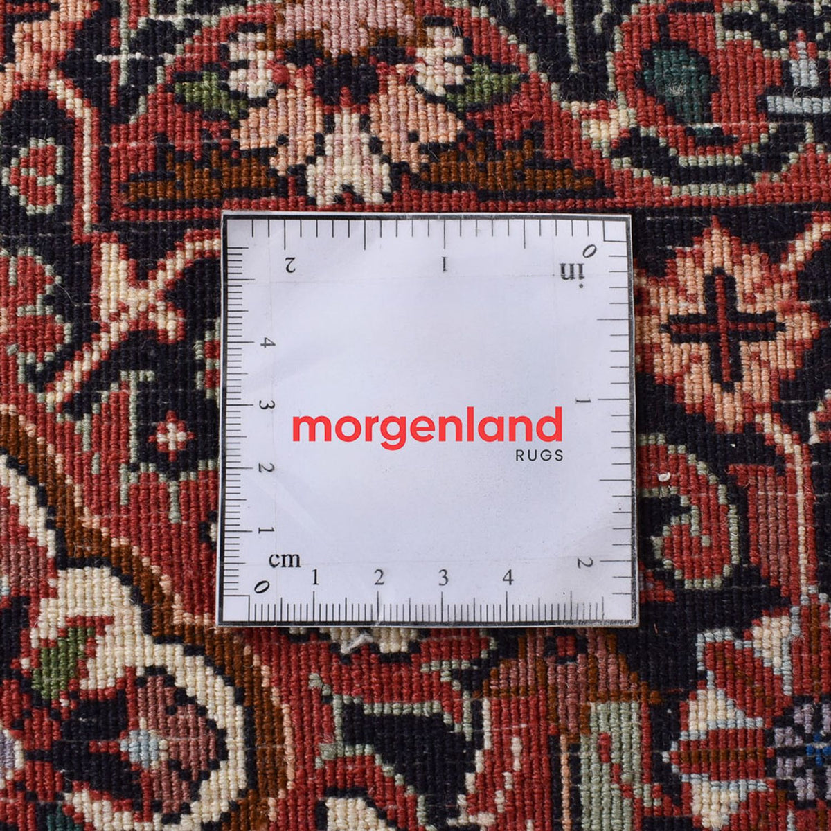 Persisk tæppe - Bijar - 345 x 254 cm - rust