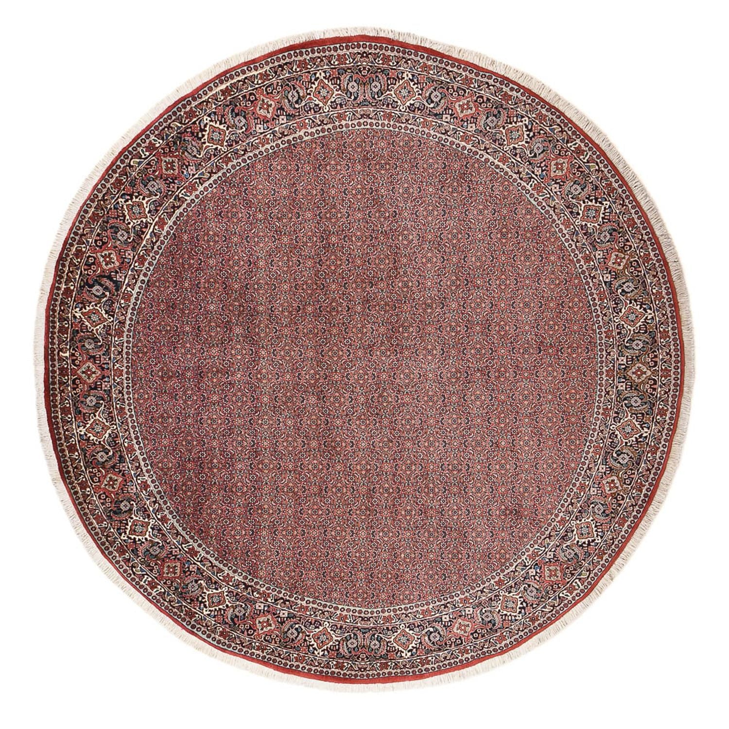 Persisk tæppe - Bijar rundt  - 300 x 300 cm - rust