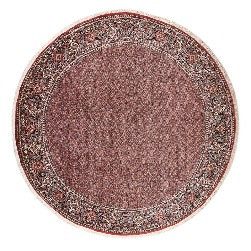 Persisk tæppe - Bijar rundt  - 300 x 300 cm - rust