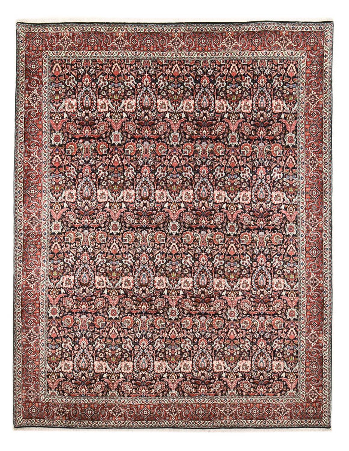 Persisk tæppe - Bijar - 340 x 259 cm - rust