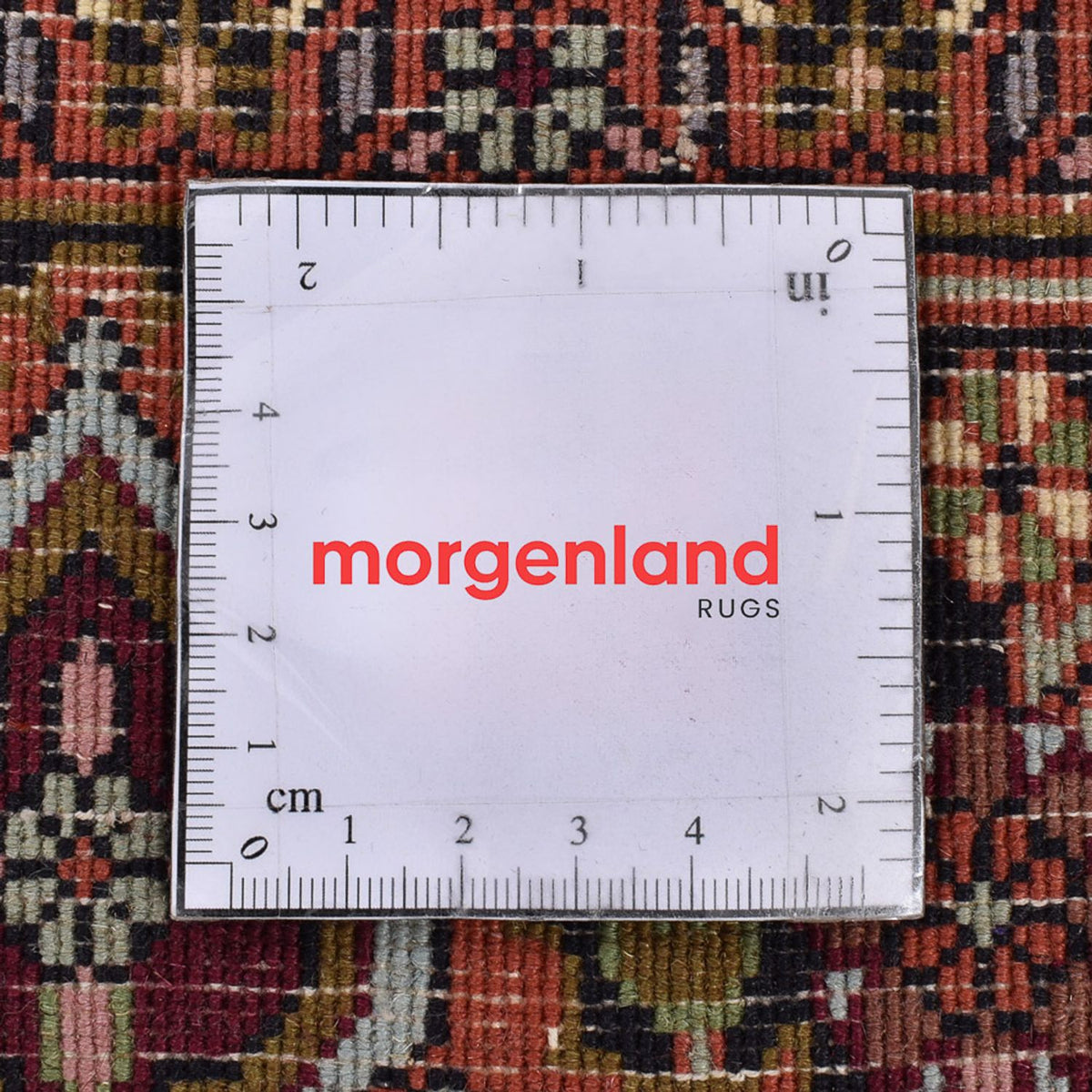 Persisk tæppe - Bijar - 251 x 150 cm - rust