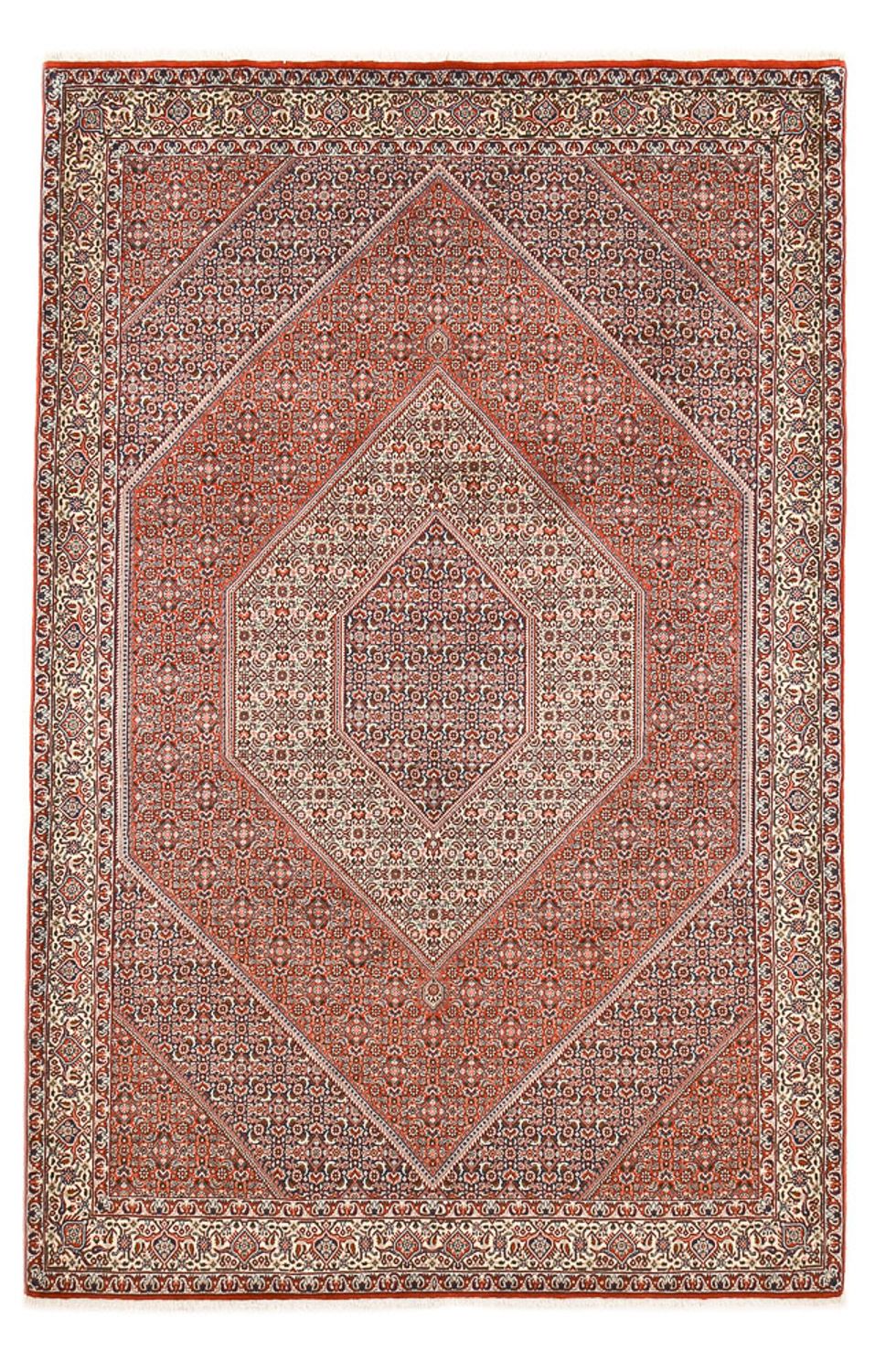 Persisk tæppe - Bijar - 295 x 196 cm - rust