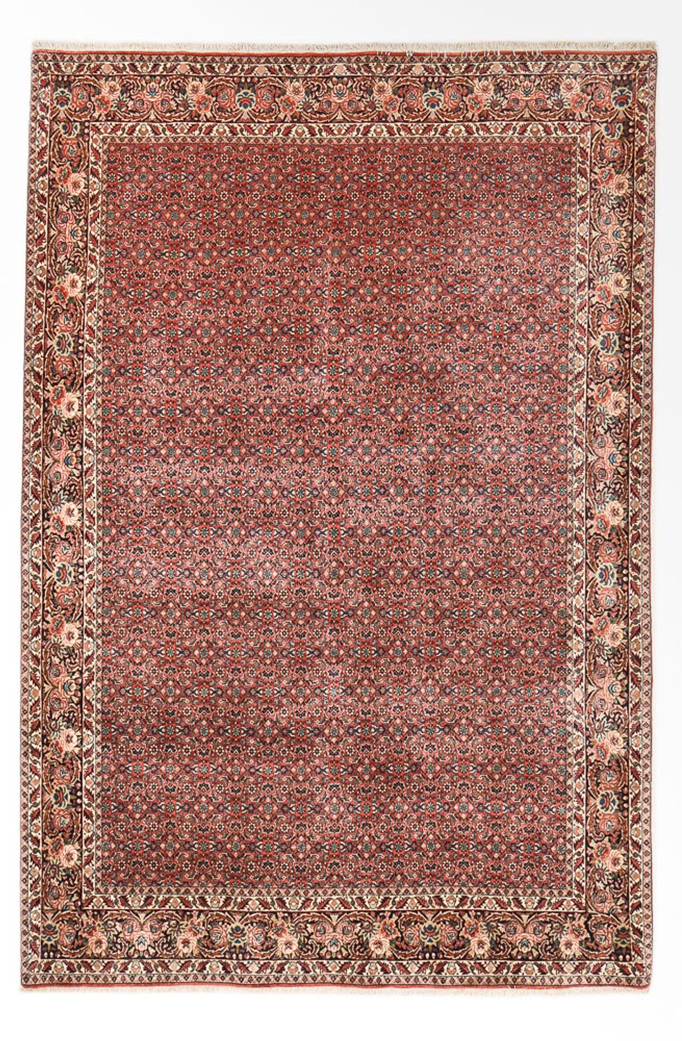 Persisk tæppe - Bijar - 297 x 200 cm - rust
