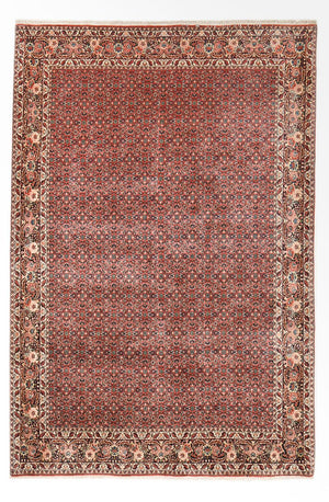 Persisk tæppe - Bijar - 297 x 200 cm - rust