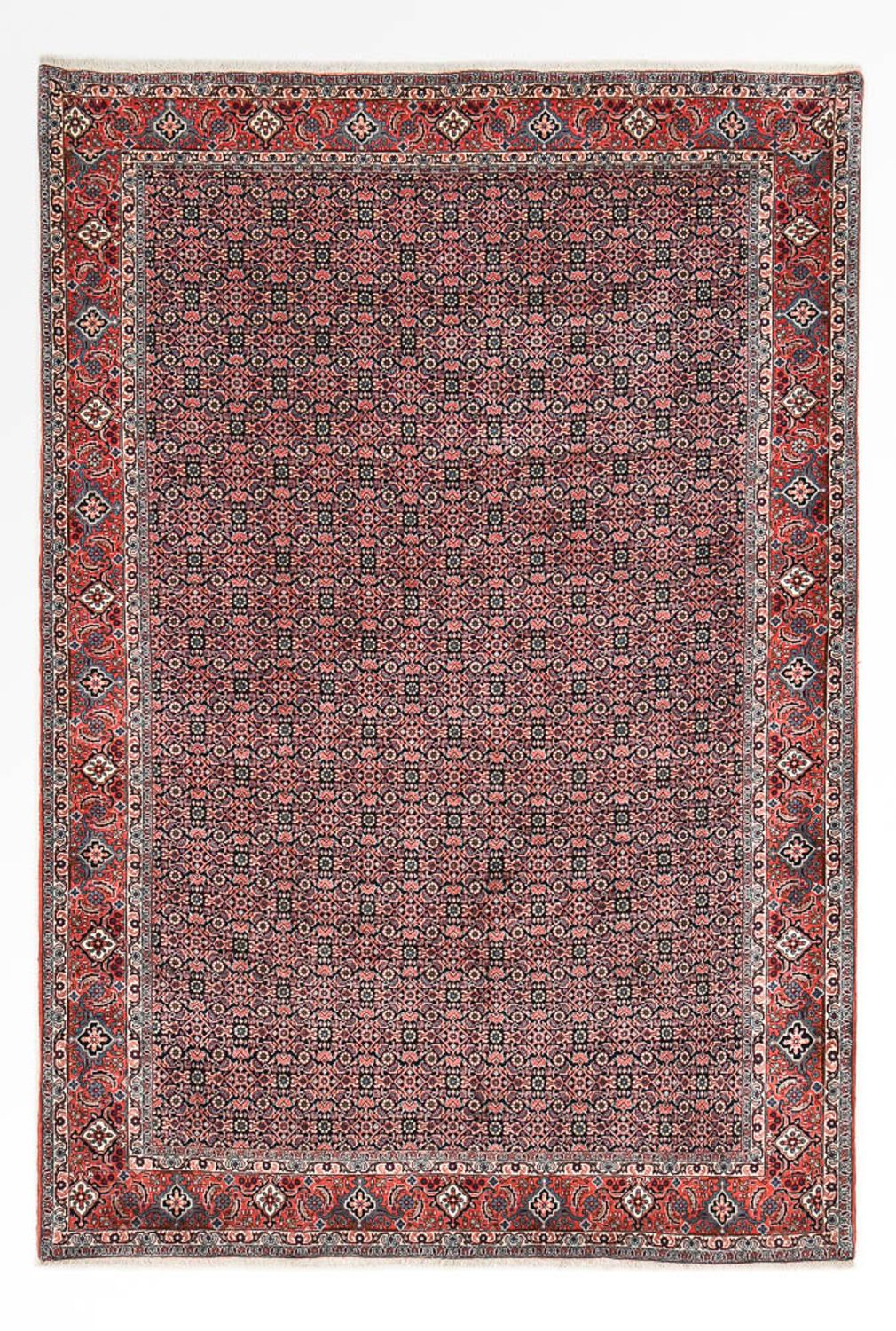 Persisk tæppe - Bijar - 301 x 203 cm - rust