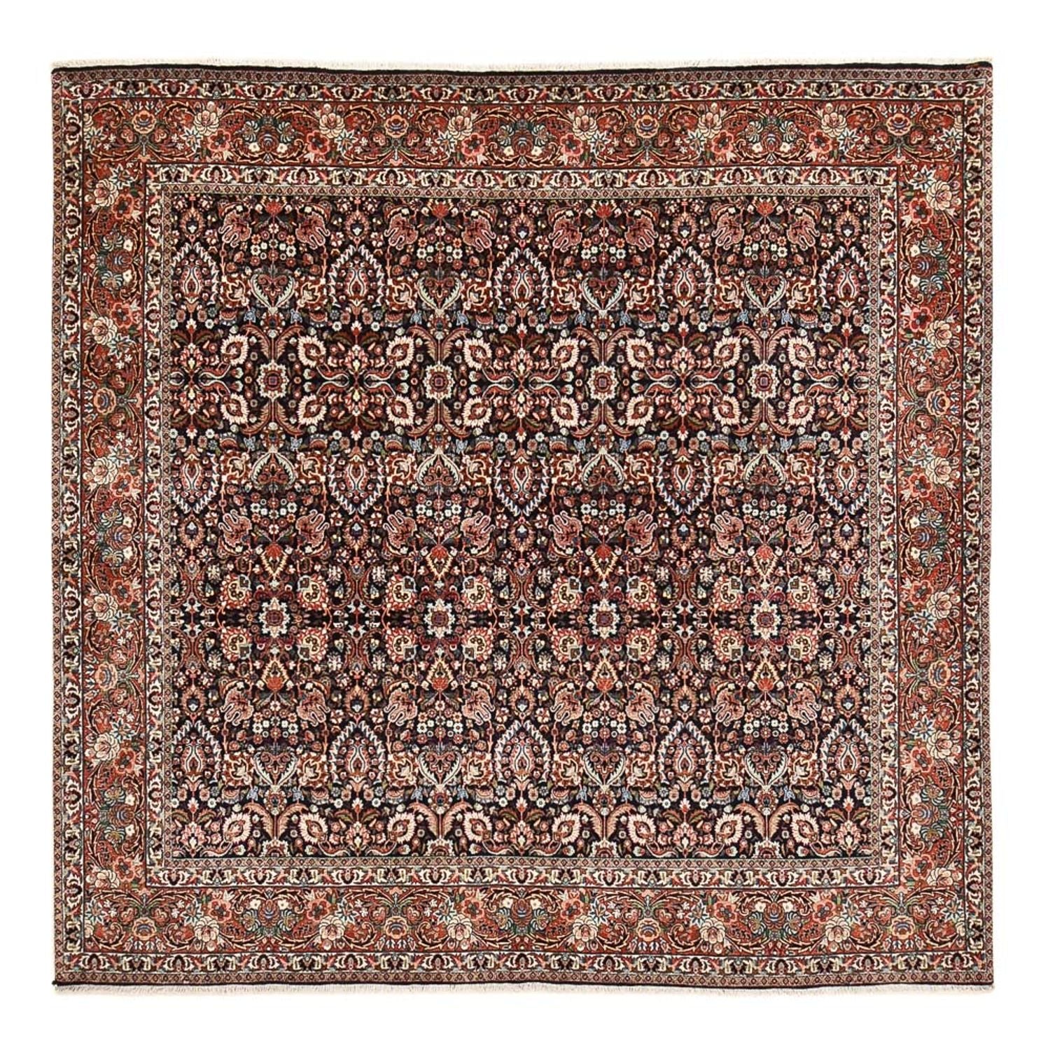 Persisk tæppe - Bijar firkantet  - 252 x 252 cm - rust