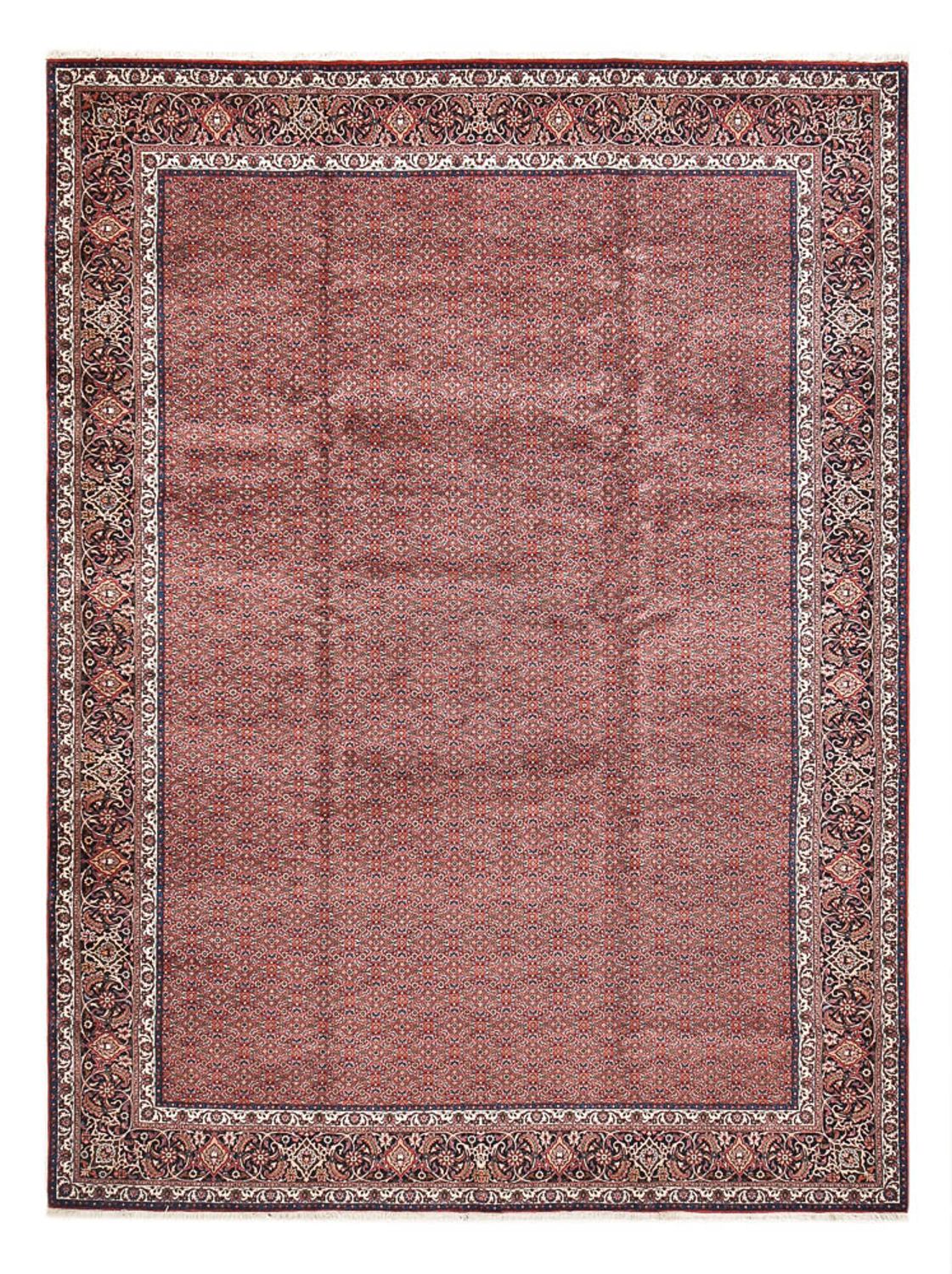 Persisk tæppe - Bijar - 490 x 350 cm - bordeaux rød
