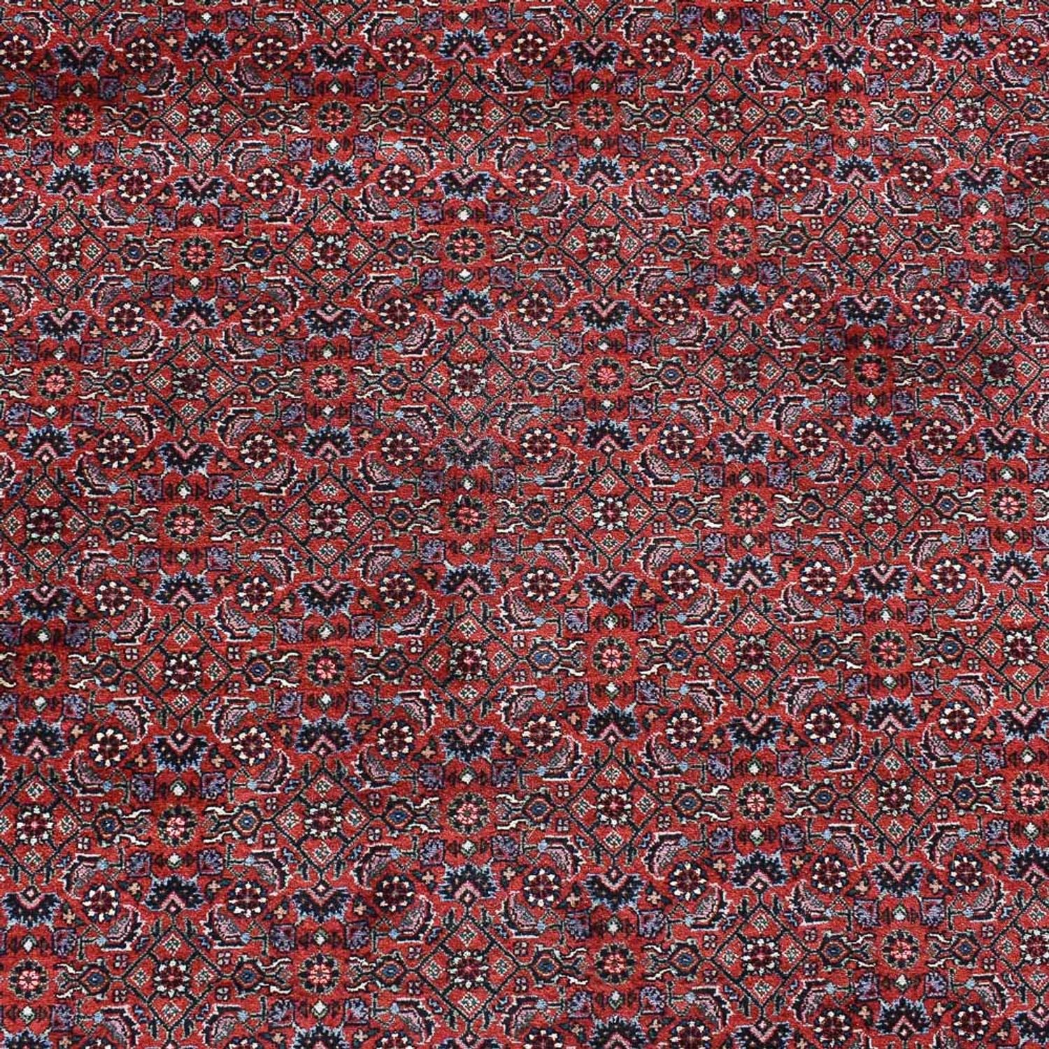 Persisk tæppe - Bijar - 490 x 350 cm - bordeaux rød