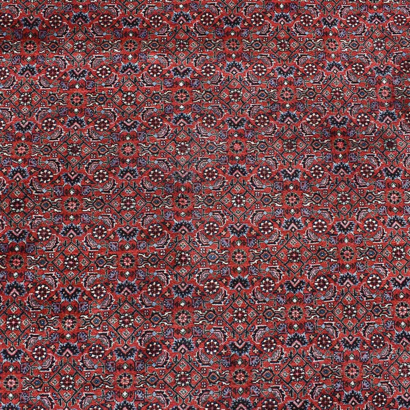 Persisk tæppe - Bijar - 490 x 350 cm - bordeaux rød