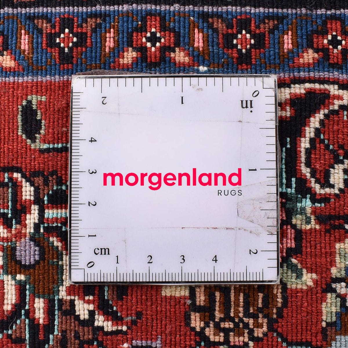 Persisk tæppe - Bijar - 294 x 202 cm - lys beige