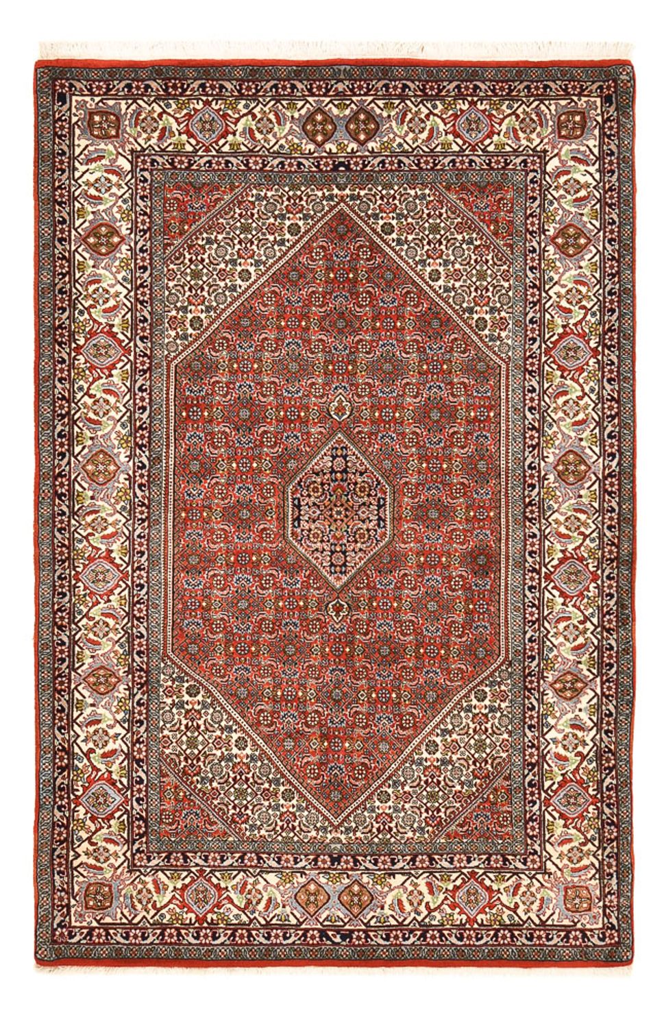 Persisk tæppe - Bijar - 222 x 138 cm - rust