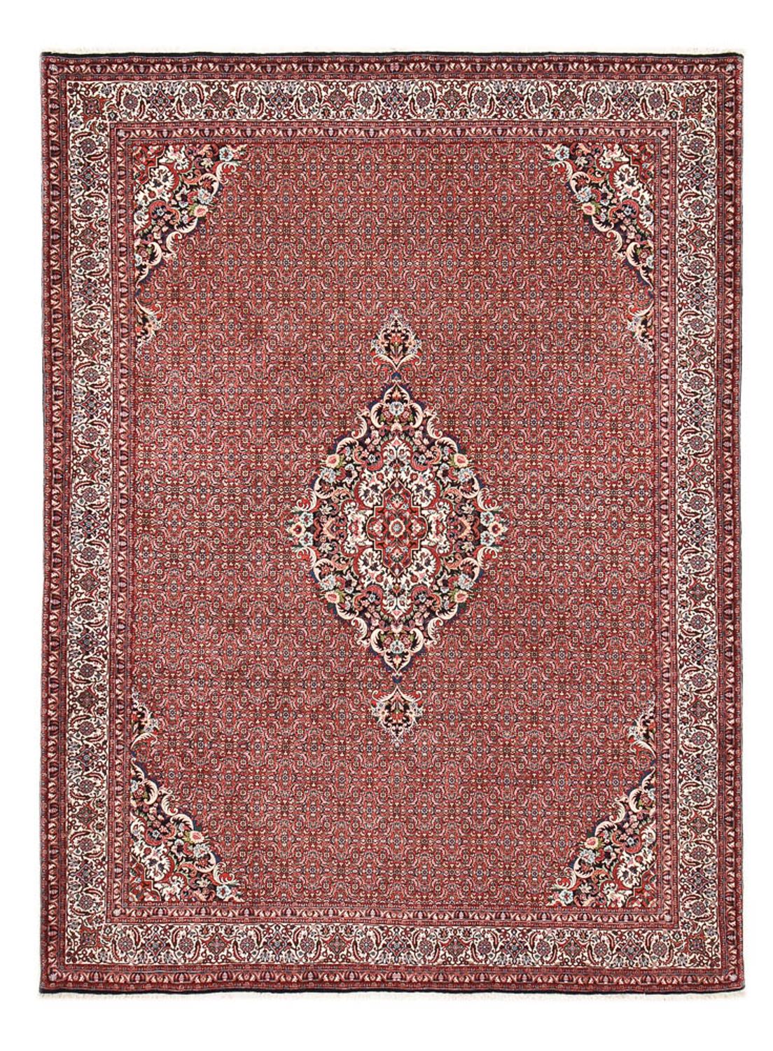 Persisk tæppe - Bijar - 354 x 257 cm - rust